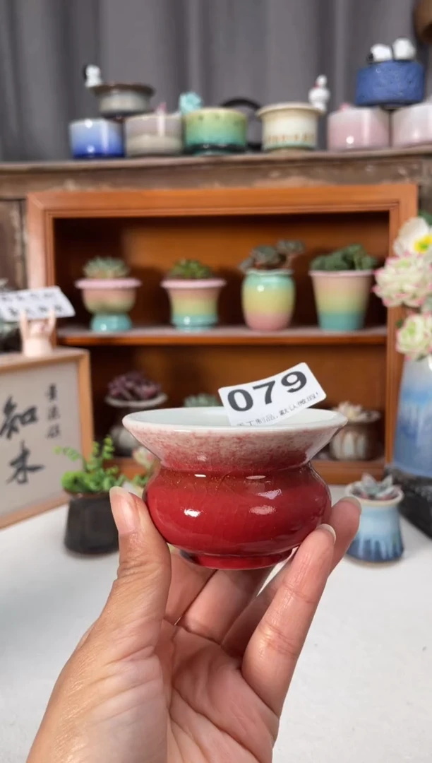 瓷片079小芳直播编号