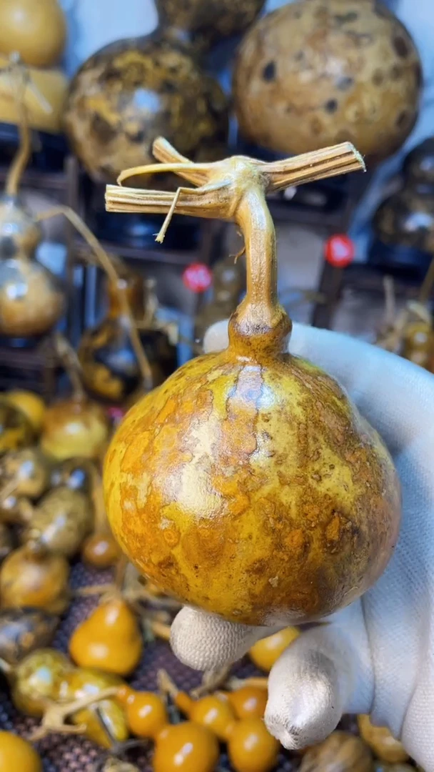 【闪购商品】葫芦葫芦葫芦葫芦