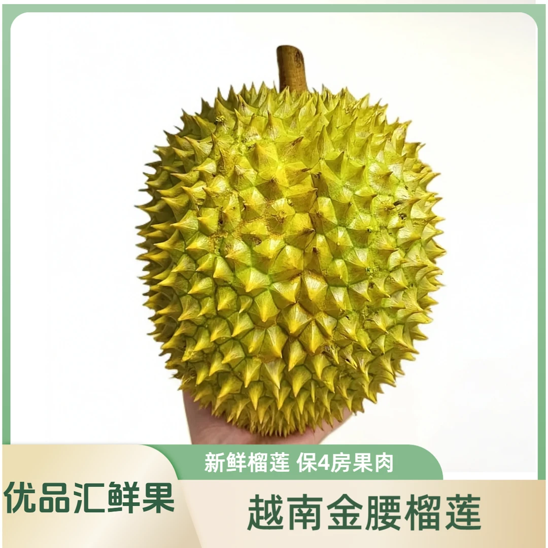 【福利金腰榴莲】越南进口新鲜榴莲金腰榴莲香甜软糯肉香核大约2.5-5斤/只—不售后干尧越南