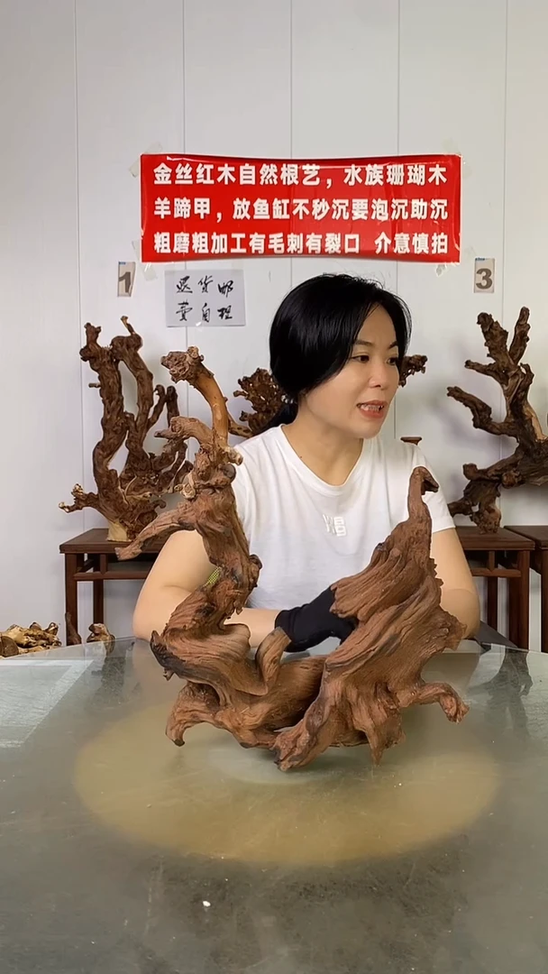 香榧木泉**艺金丝红木   羊蹄甲