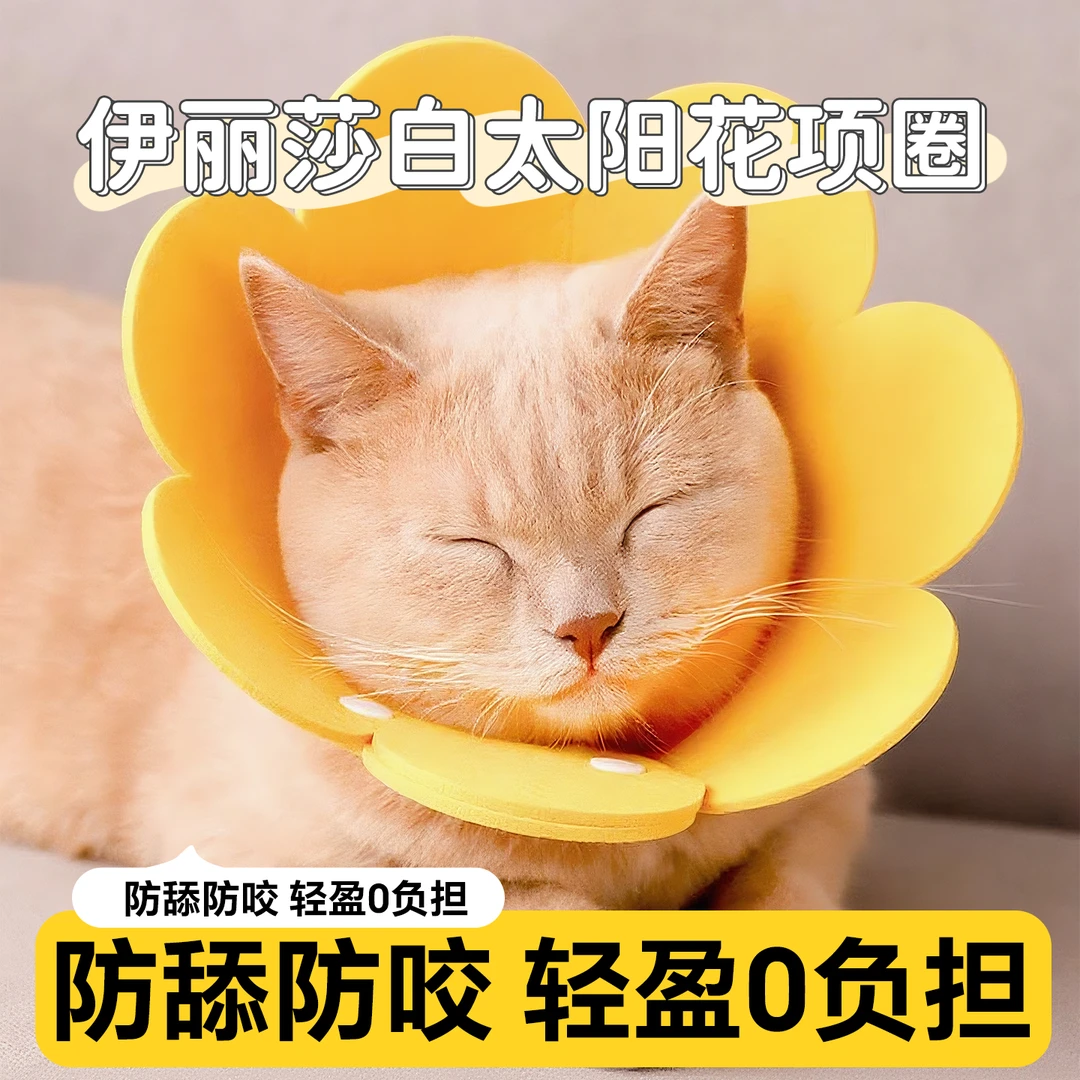 卡通伊丽莎白圈猫咪狗狗绝育项圈防舔防咬颈圈头套羞耻圈宠物用品