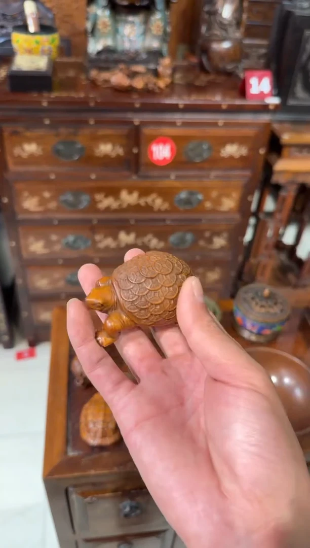 木木头款黄杨金钱龟68