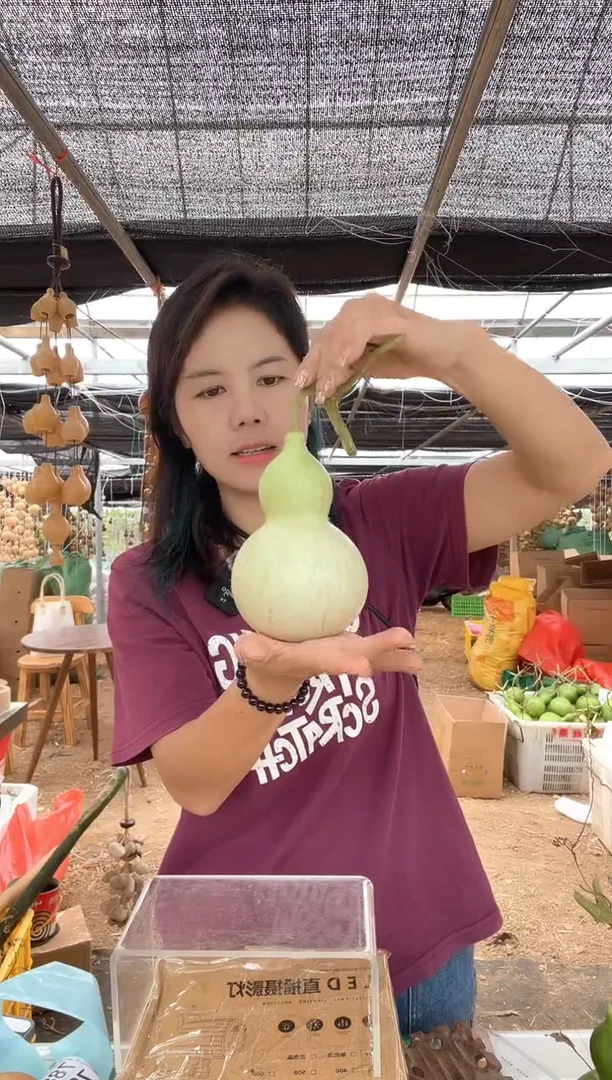 781天然葫芦摆件 一物一拍龙头不保售后