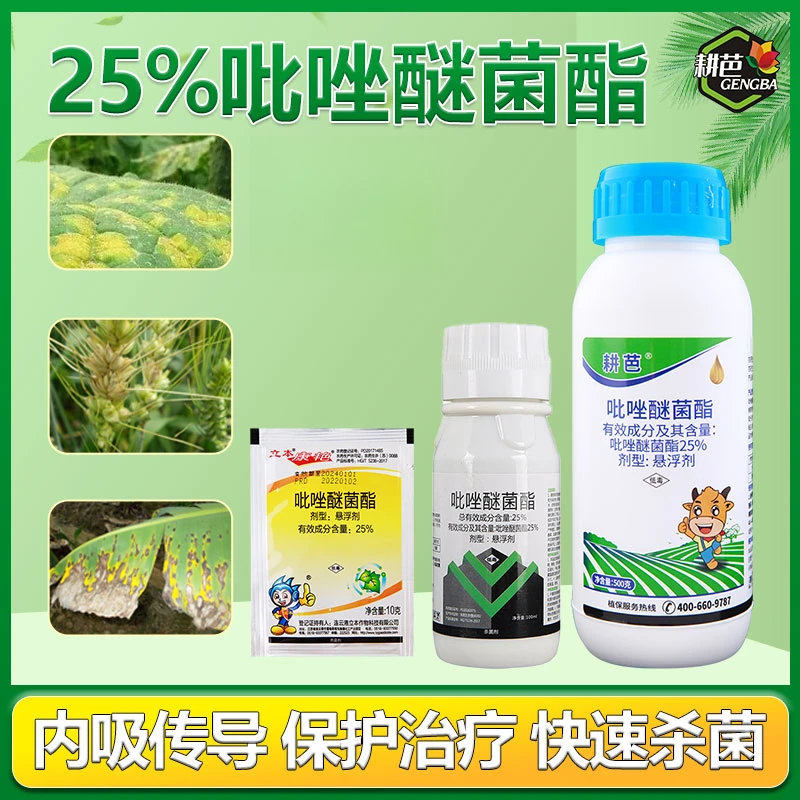 （阿雷农技专属）杀菌剂吡唑醚菌酯白粉病炭疽病褐斑病叶斑病药剂