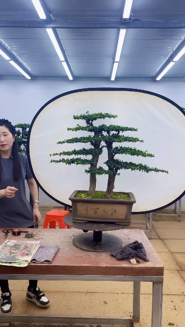 无花朵给***笑一物一拍，所见即所得