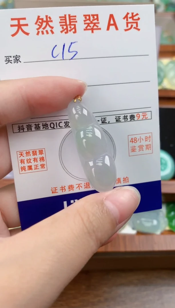 颈饰未镶嵌翡翠天然A货翡翠挂件