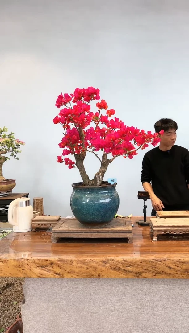 【闪购商品】aa938