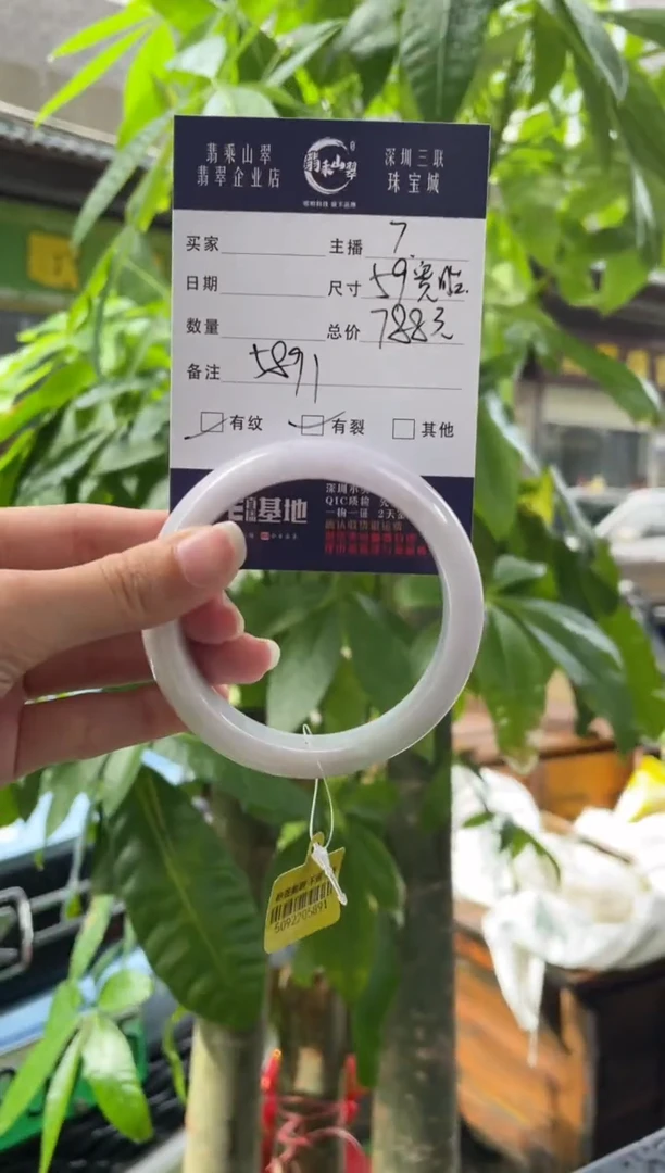 未镶嵌手镯翡翠Q 59宽胎  5891