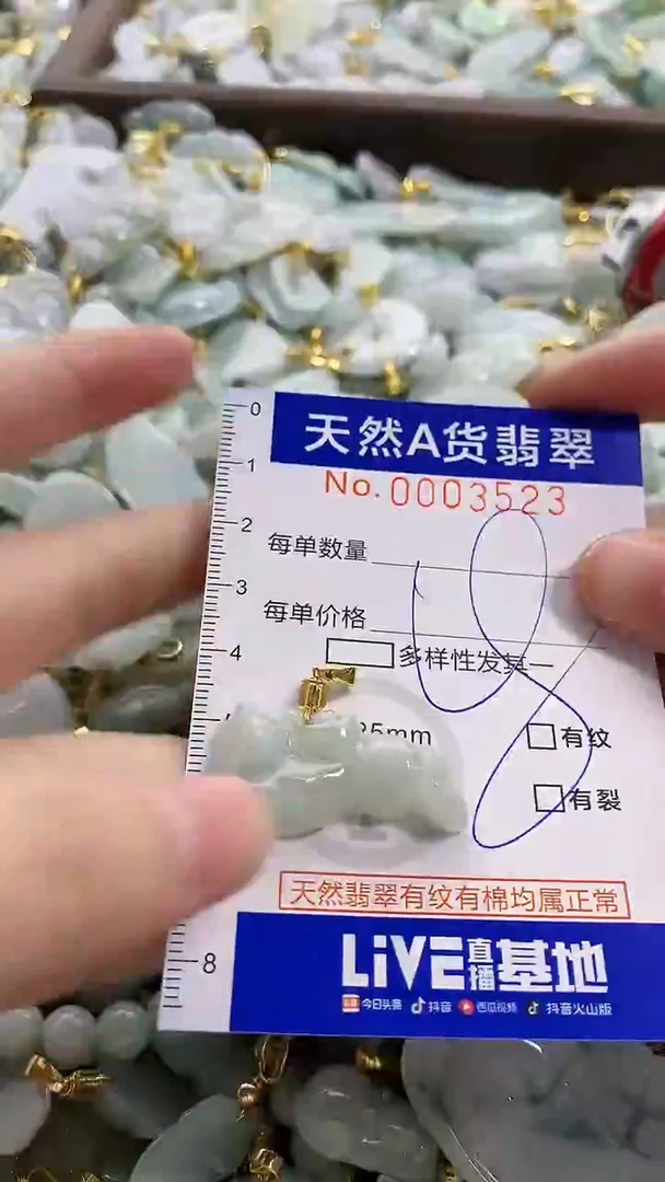 颈饰未镶嵌翡翠天然A货翡翠