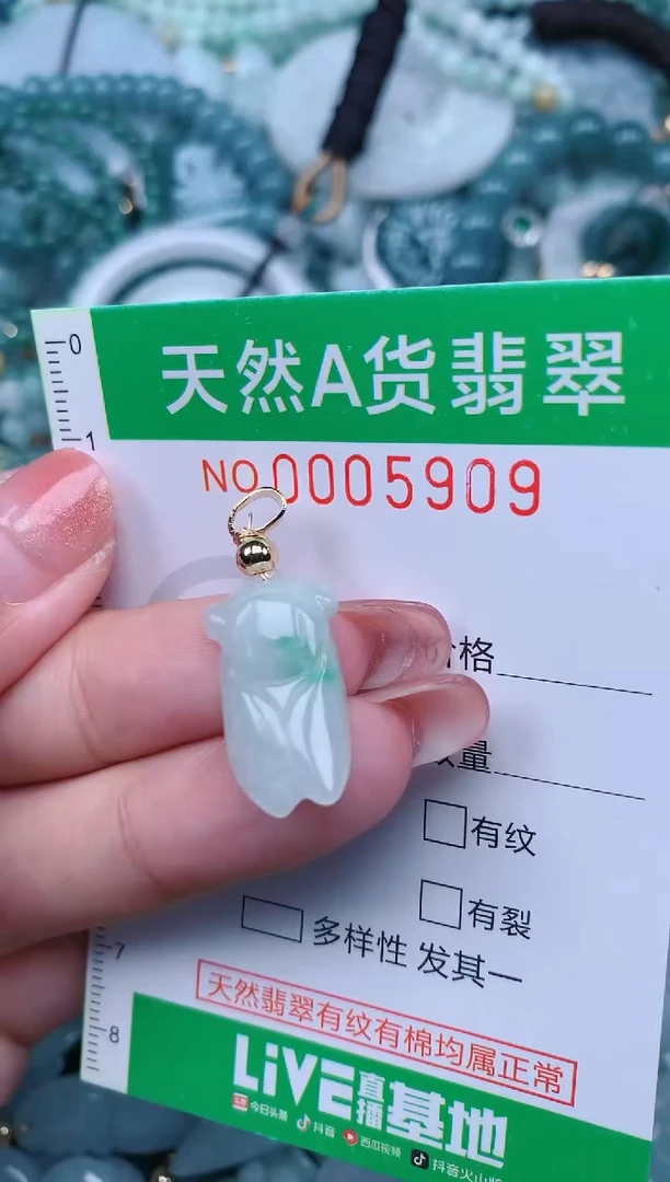 【闪购商品】翡翠未镶嵌颈饰.0005909