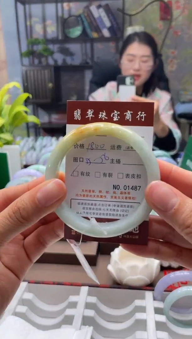 未镶嵌手镯翡翠1487***