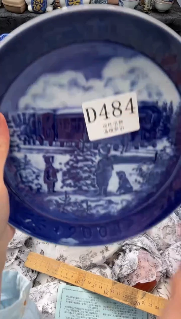 瓷片       D484