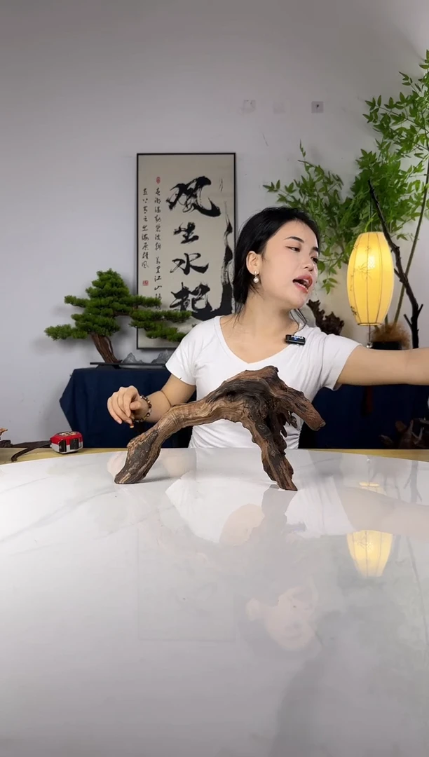 豆*。拍这个定向编号147