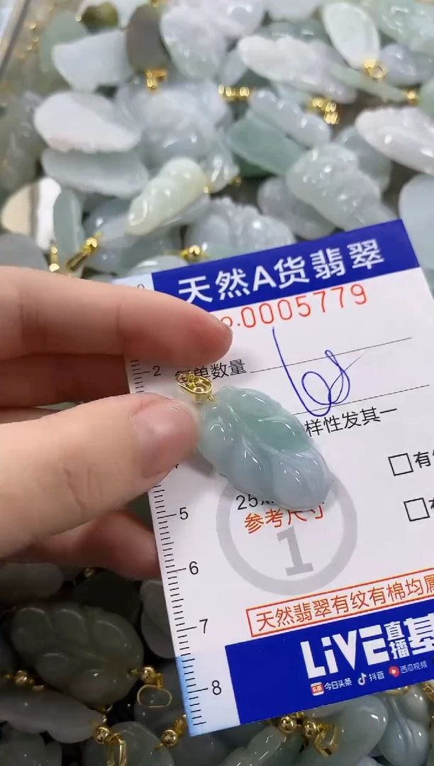 颈饰未镶嵌翡翠天然A货翡翠