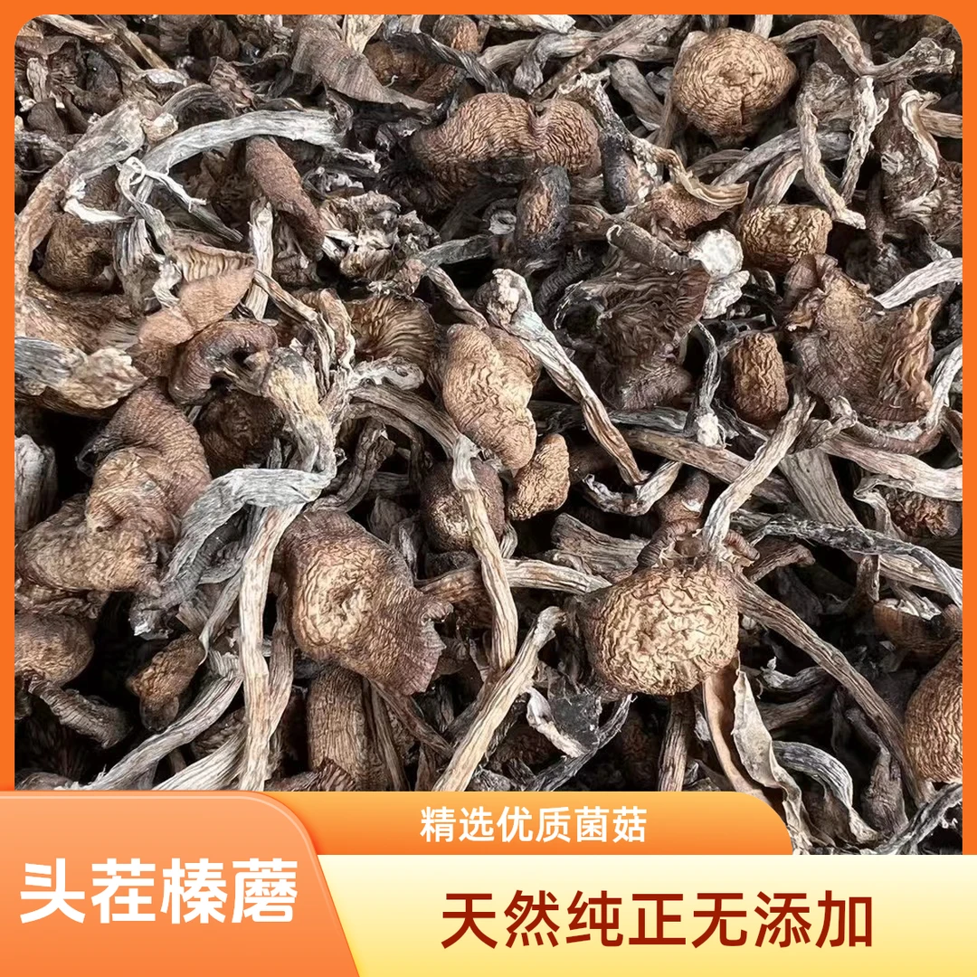 【郭峰专属】东北榛蘑深山采摘中小蘑菇头