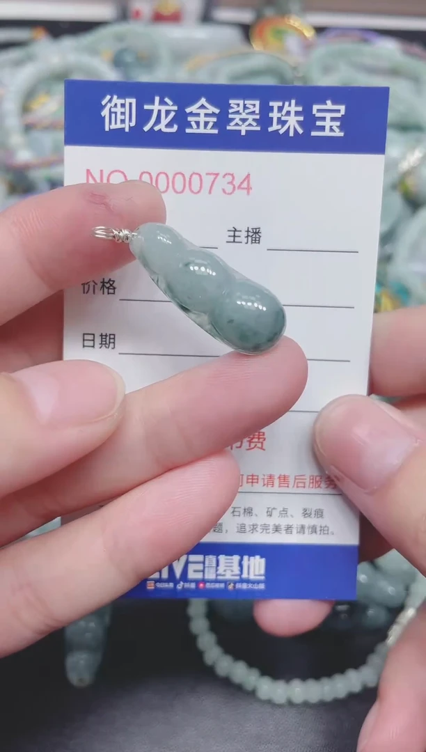 翡翠未镶嵌颈饰023