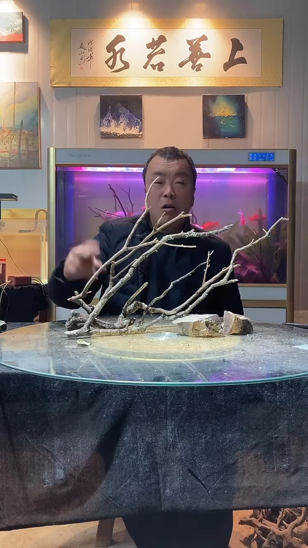 159号天然黄栎木