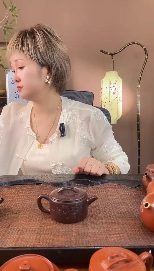 茶壶紫砂紫砂壶14
