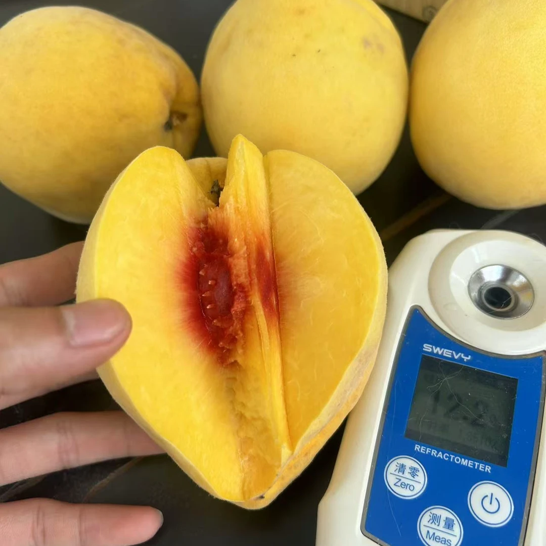 【正宗炎陵黄桃】湖南头茬炎陵黄桃大个头礼盒包装顺丰包邮