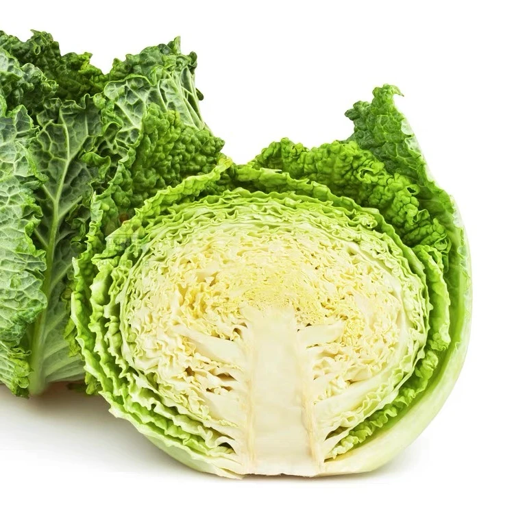 山东新鲜采摘泡泡甘蓝（3-4斤）拌沙拉产地直发细嫩好吃