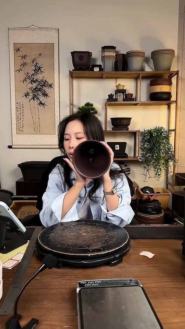 10只15口径金钟紫檀色