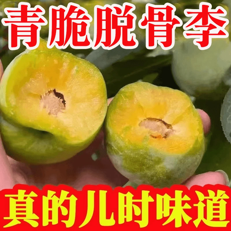 正宗脱骨李新鲜应季水果脆甜多汁现摘青脆李脆甜现采