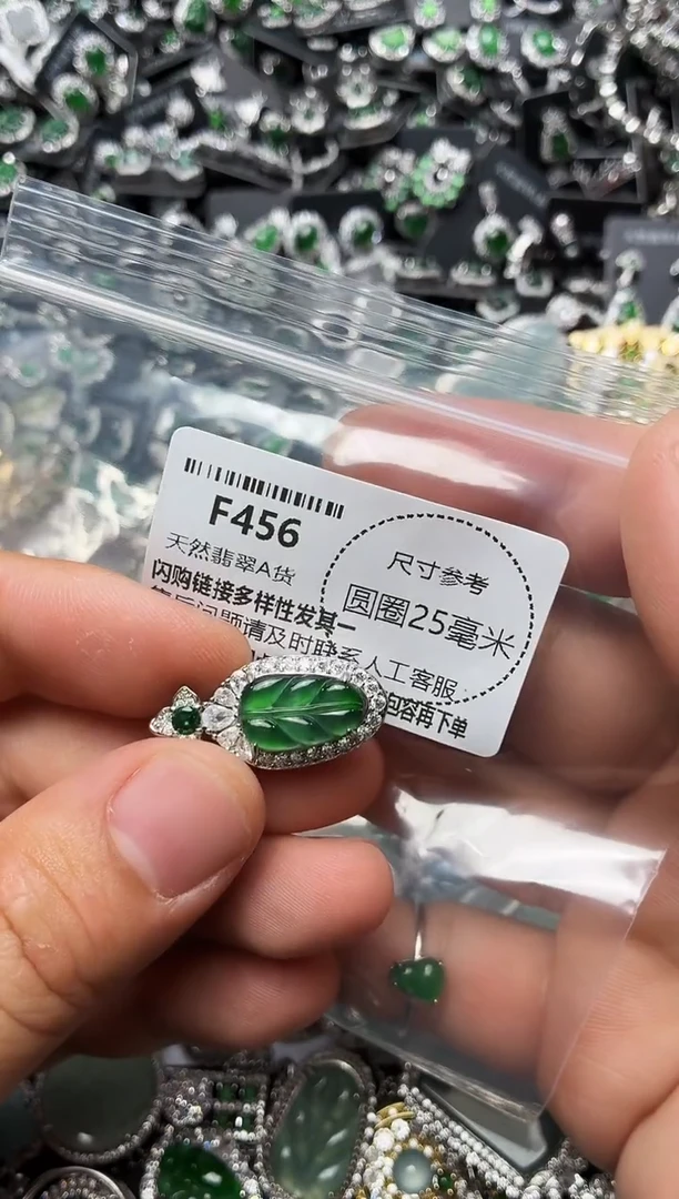 翡翠未镶嵌颈饰F456吊坠
