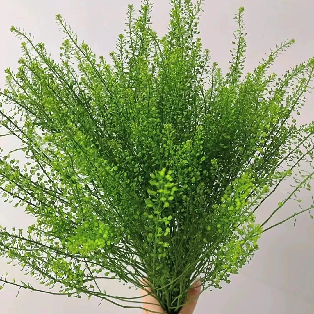 【次日达·绿铃草】1扎配草插花鲜切花生活鲜花·基地直发·鲜花批发·直播任意两单顺丰包邮配送上门送保鲜剂