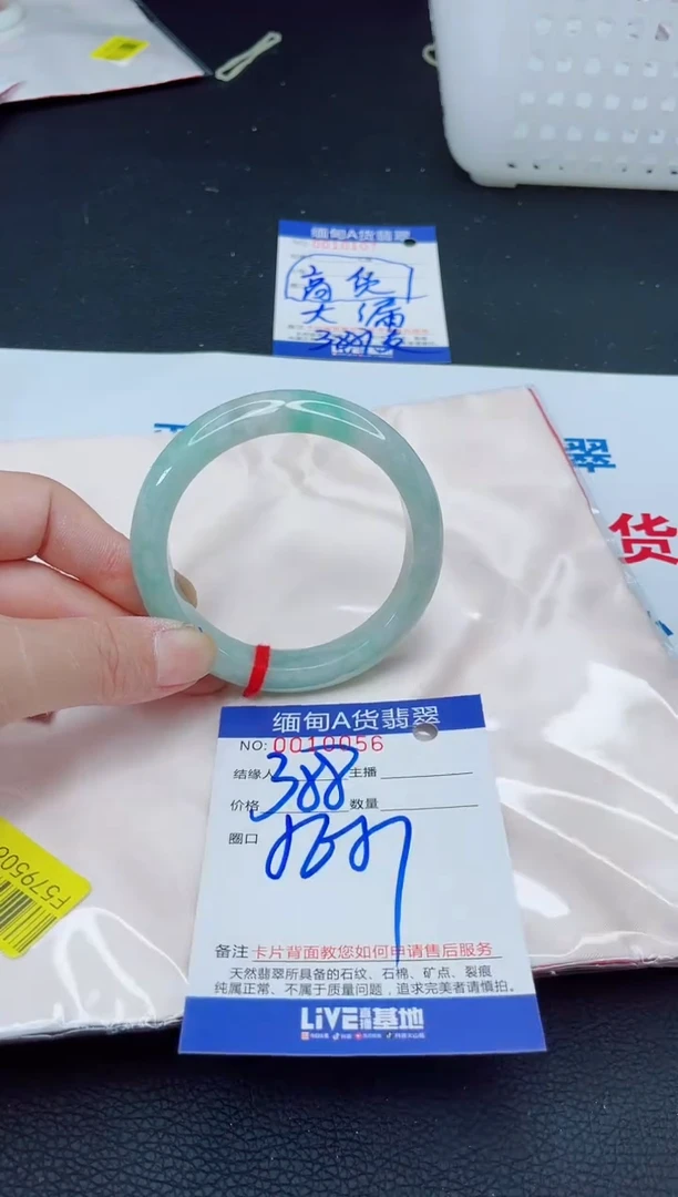未镶嵌手镯翡翠我2