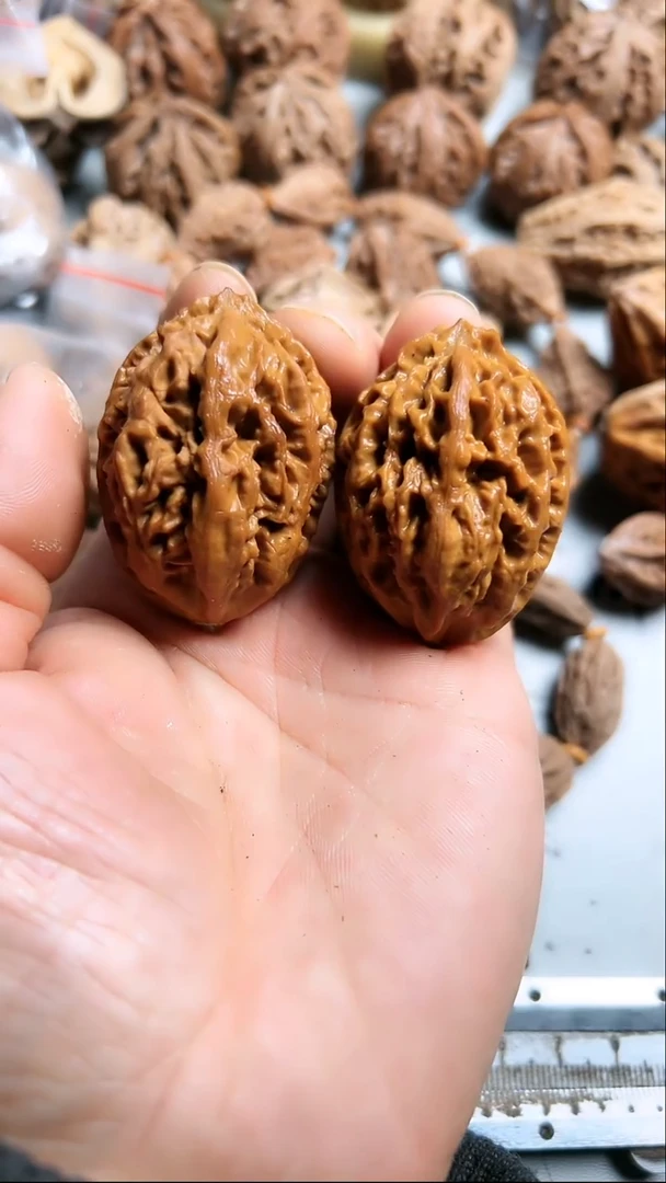 核桃东北野生大秋子15