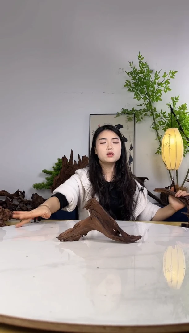 雨*拍沉木定向链接编号78