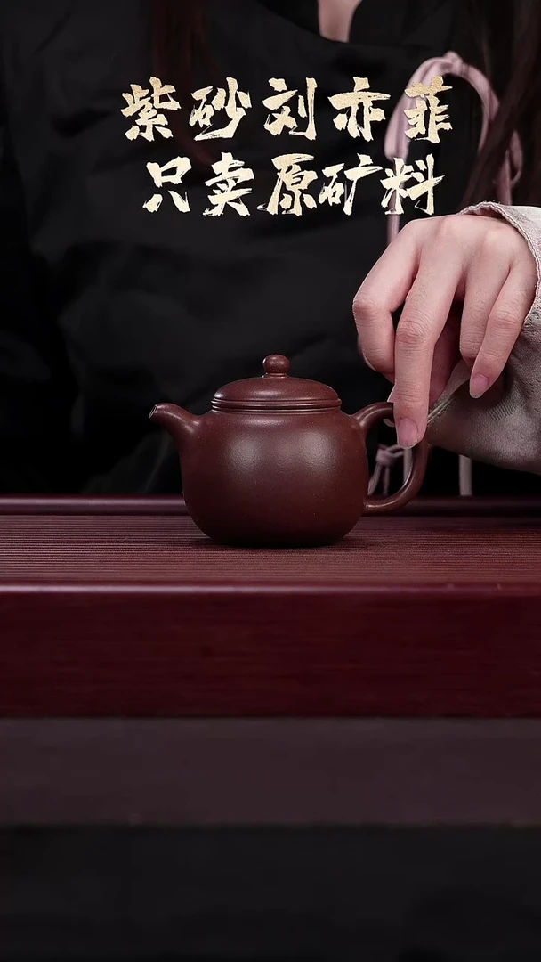 茶壶紫砂EF17230谭菲琳匏尊4号井紫泥190cc内推