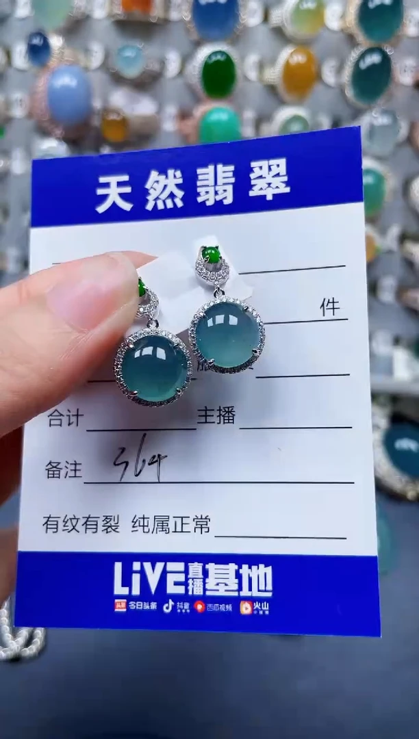 银S925镶嵌翡翠耳饰364