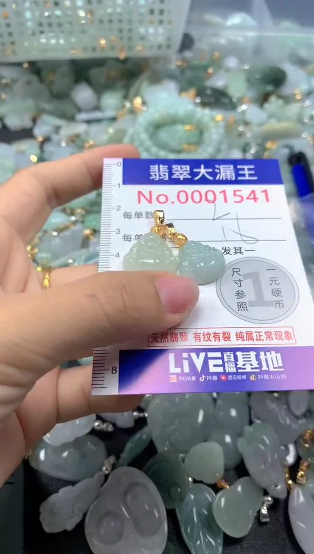 颈饰未镶嵌翡翠1541