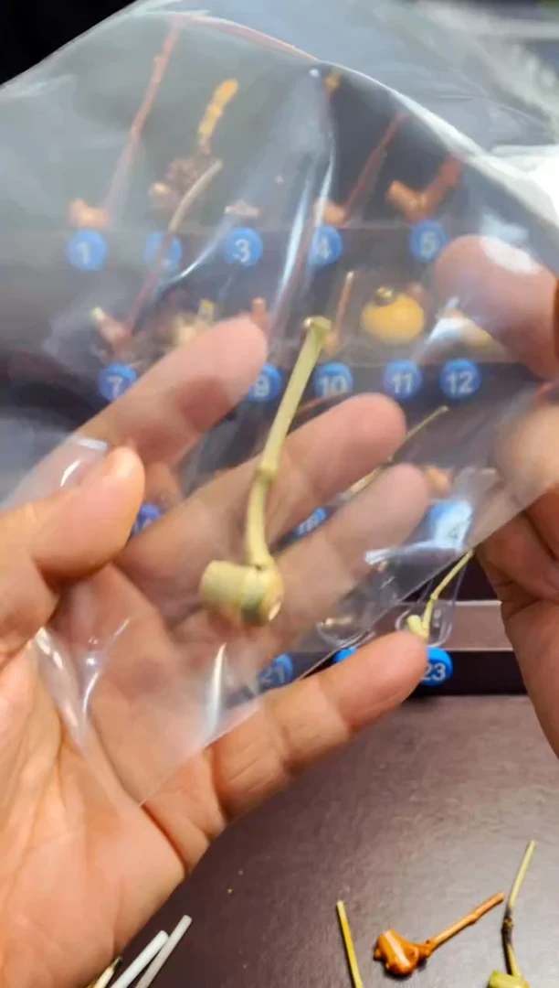 【闪购商品】木檬子木的精品小斗