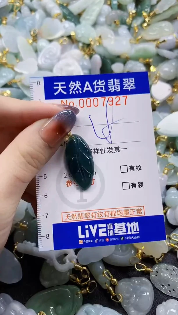 颈饰未镶嵌翡翠天然A货翡翠