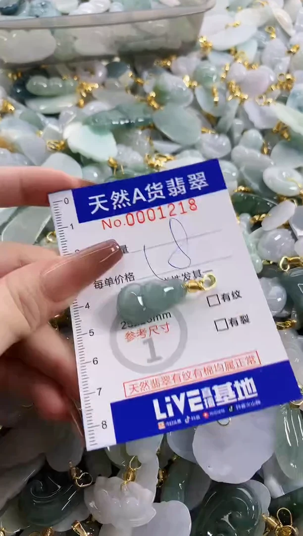 颈饰未镶嵌翡翠天然A货翡翠