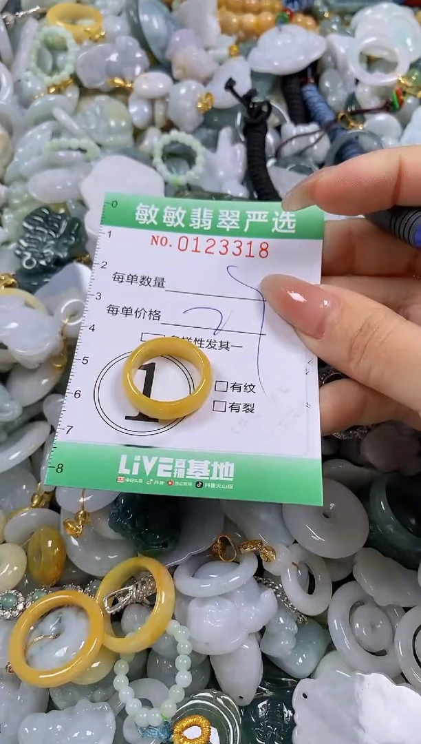 【闪购商品】翡翠颈饰未镶嵌闪购0123318