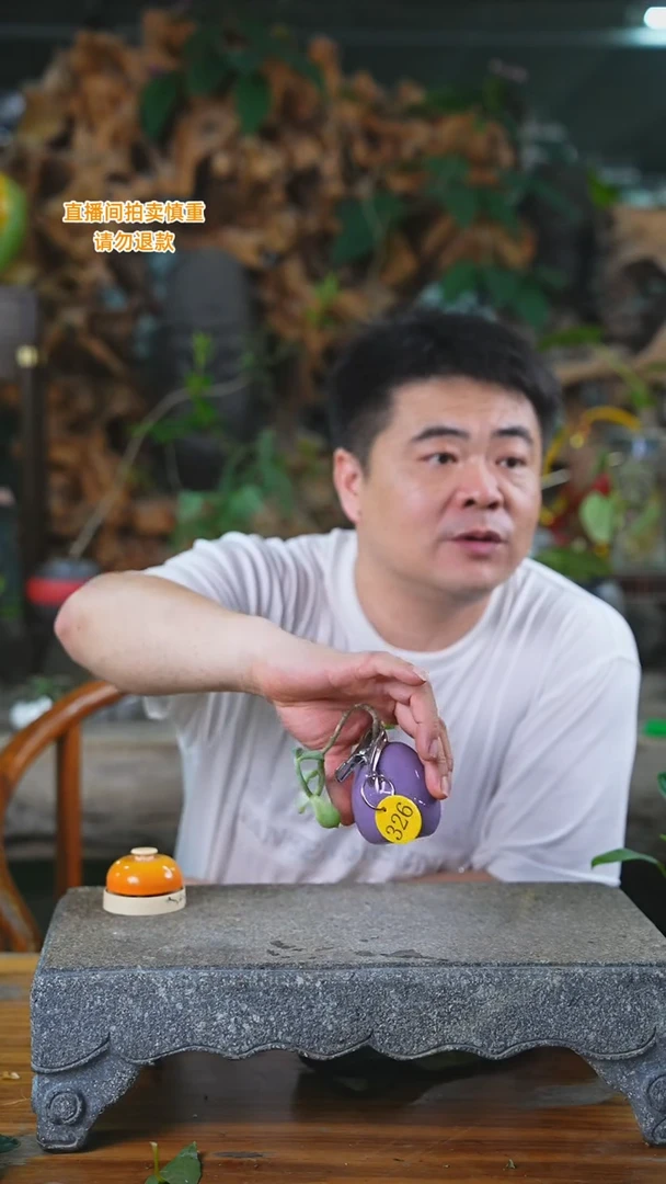 当前无花栽培后可以开花216H肉肉