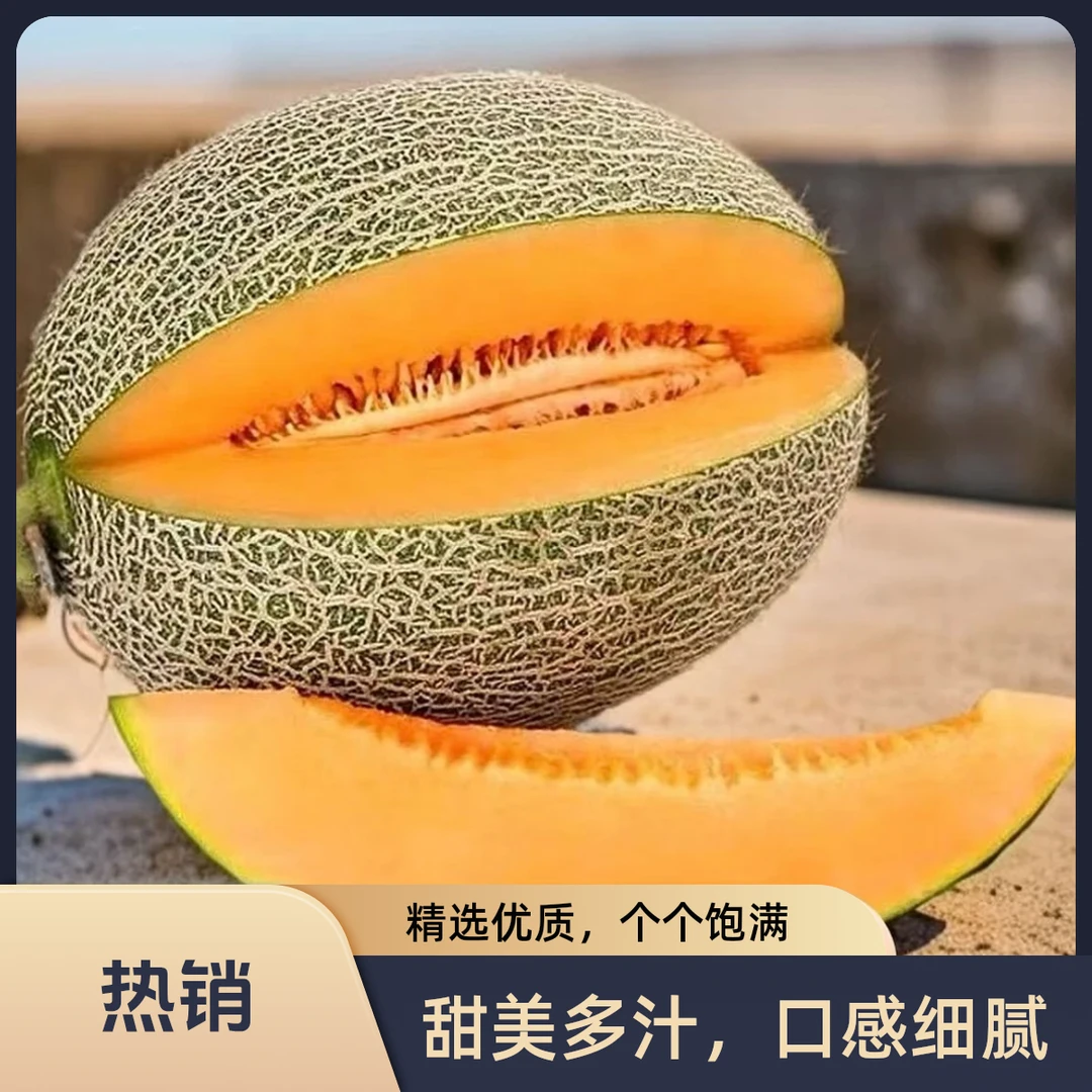 新鲜哈密瓜现摘水果非玲珑哈密瓜西洲密网瓜产地直发