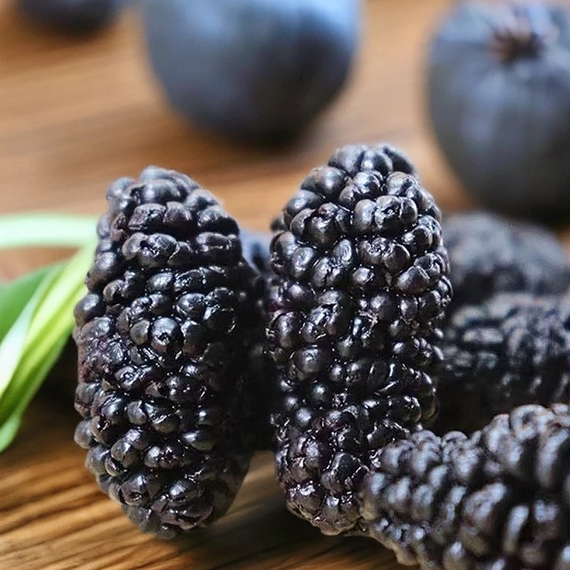 桑椹子 黑桑葚 精选大颗粒桑葚