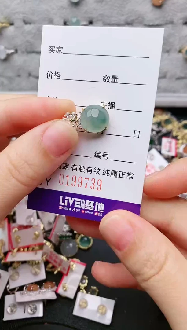翡翠银S925镶嵌颈饰....