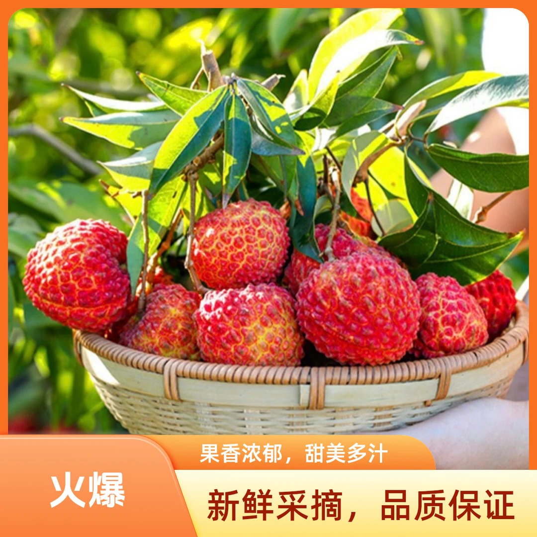 正宗海南火山荔枝王 当季水果 新鲜荔枝超大巨无霸荔枝