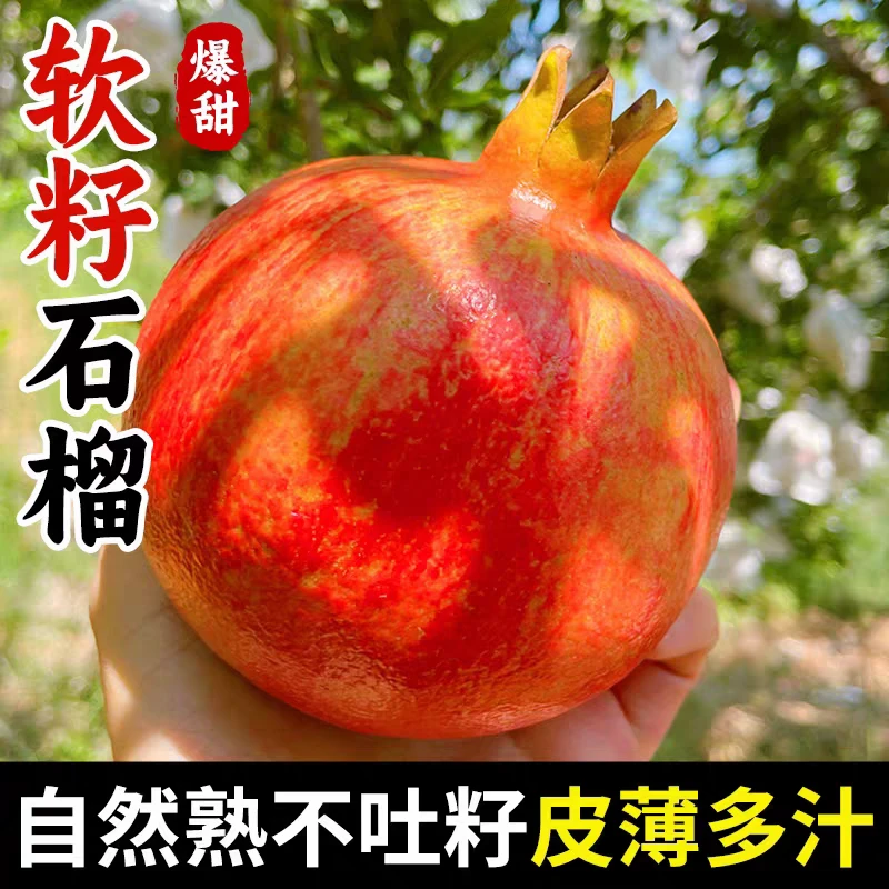 四川会理软籽石榴新鲜当季饱满多汁爆甜水果皮薄5斤果园产地直发