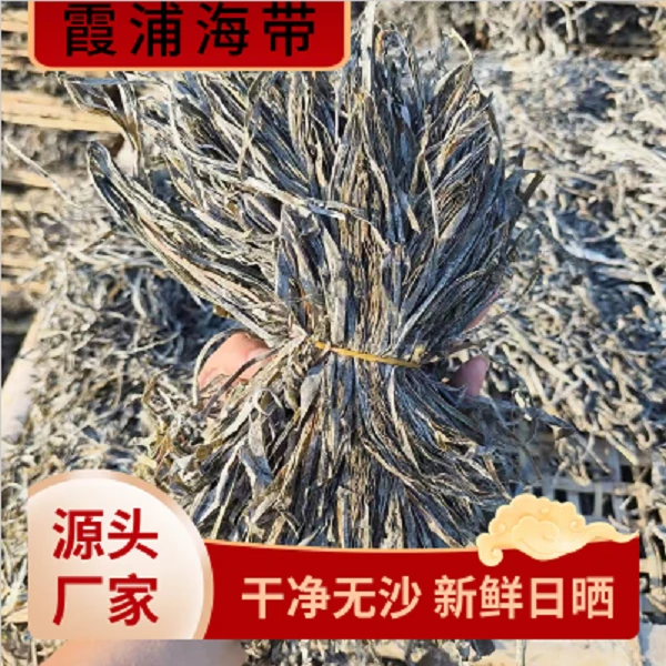 霞浦富晒海带丝特细烘干切条干净无沙凉拌脆爽商用高泡发
