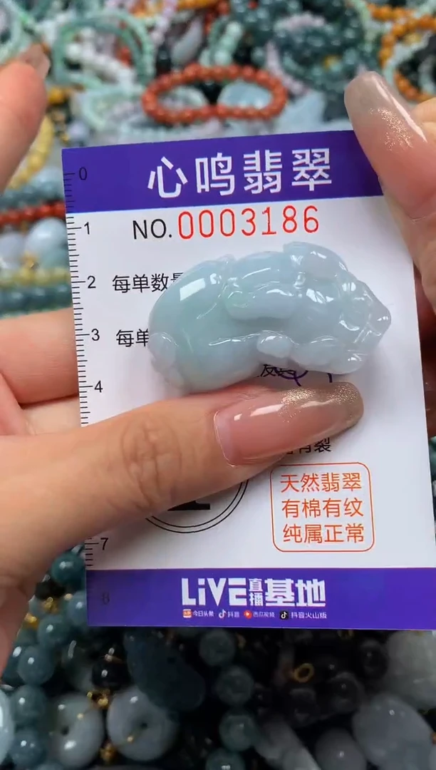 颈饰未镶嵌翡翠闪购003186