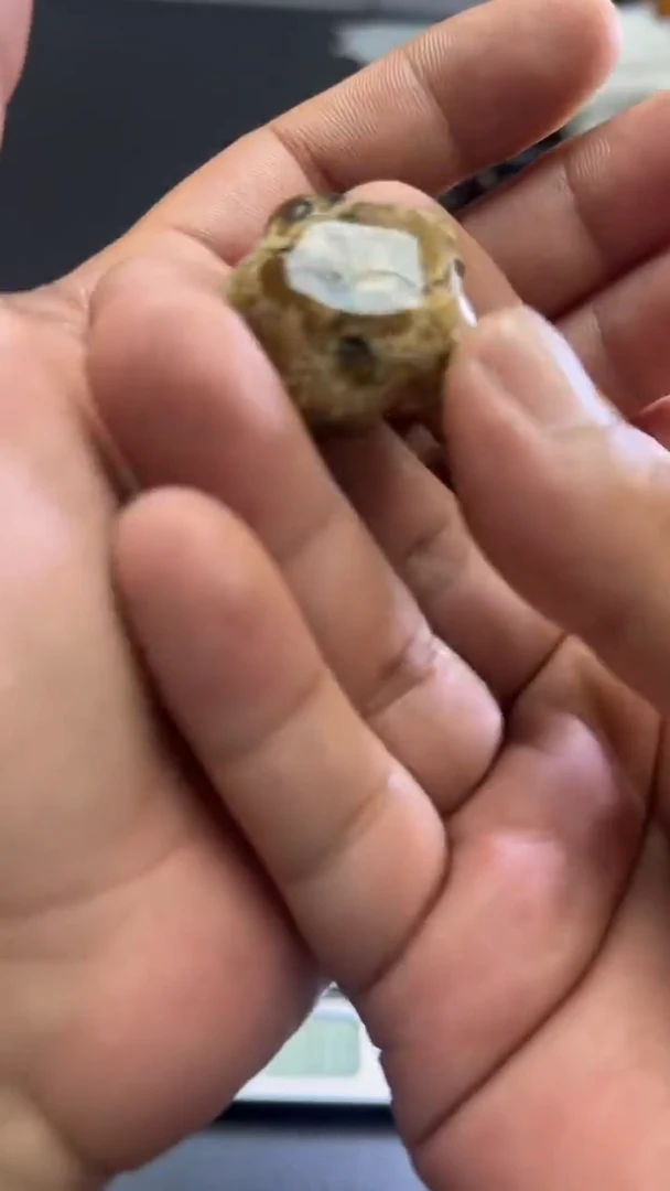 裸石琥珀未镶嵌67