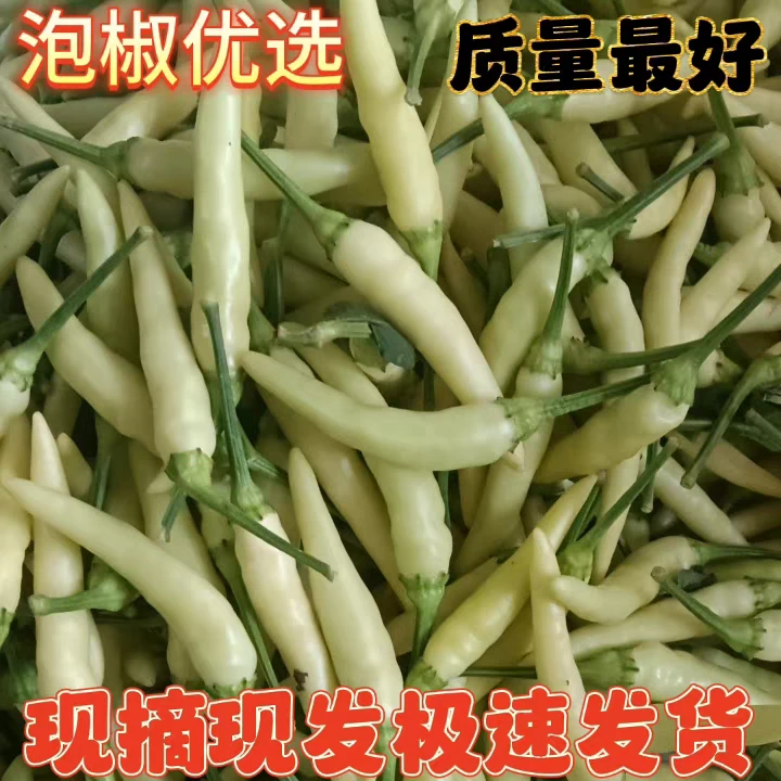 新鲜现摘特辣白米椒野山椒可做腌制泡椒剁椒白米椒农家自种现摘