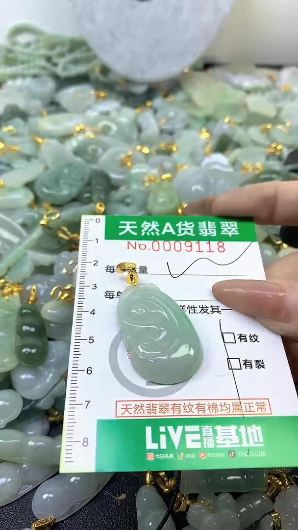 颈饰未镶嵌翡翠未镶嵌纯天然A货翡翠