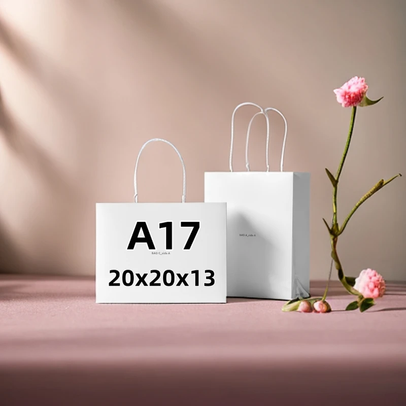 A17-新款高端时尚单肩斜挎水桶包M44887